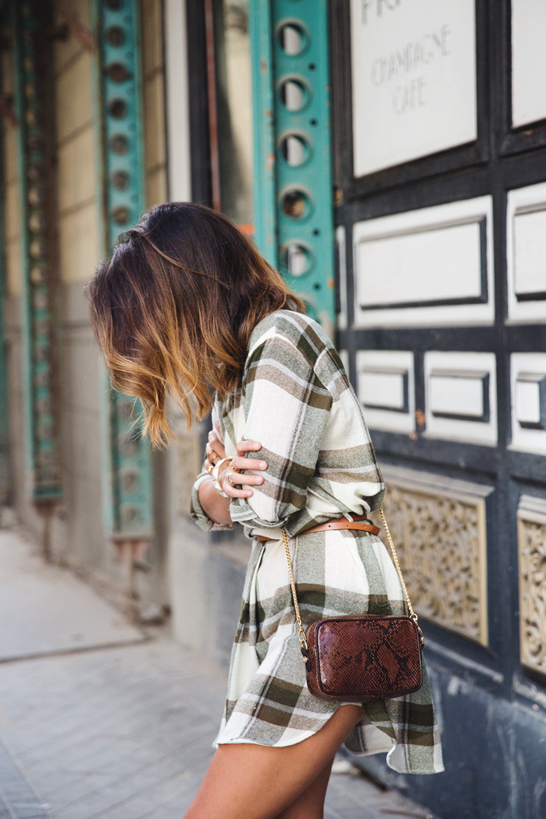 Plaid_Dress-Snake_Bag-Isabel_Marant_Boots-Outfit-Street_Style-1