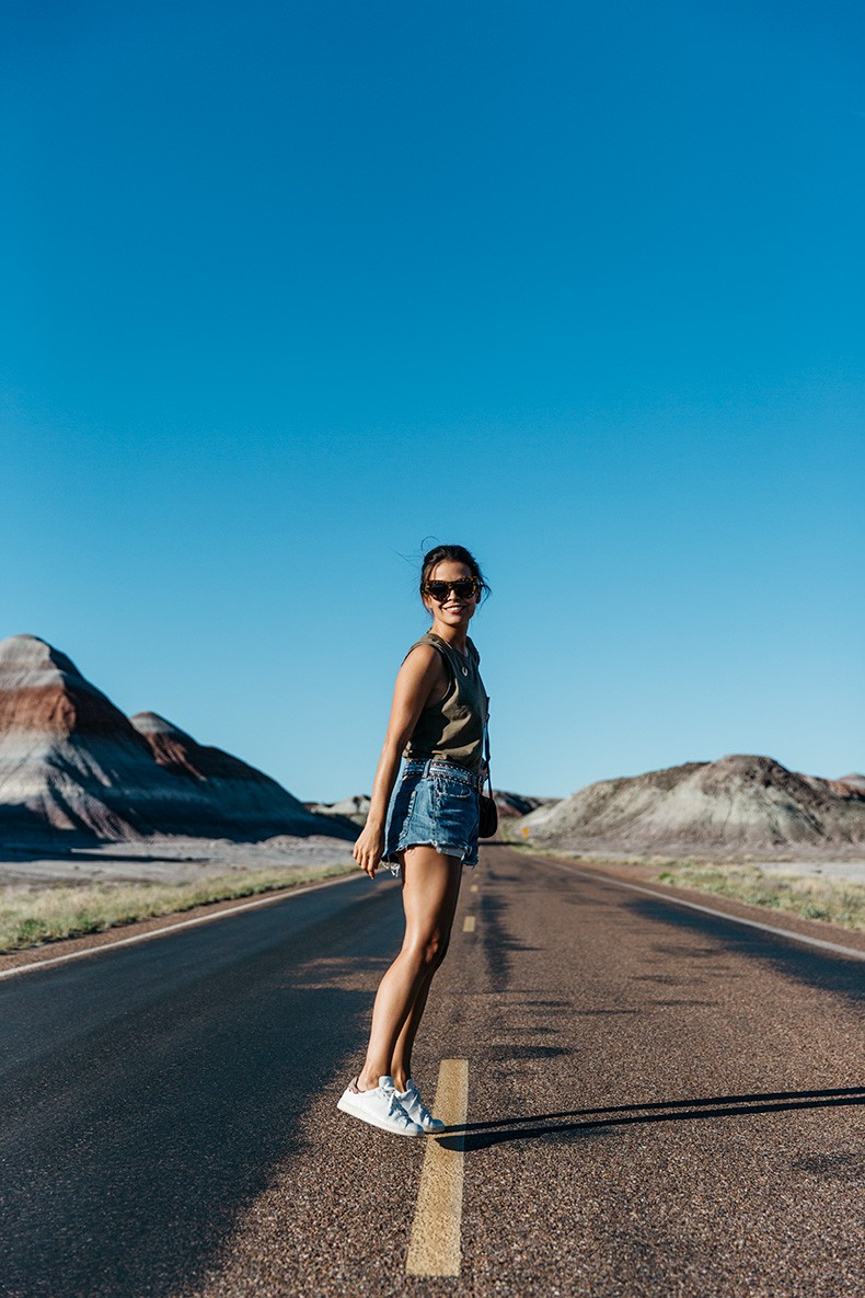 Painted_Desert_Petrified_Desert-Levis-Vintage-Maje_Belt-Outfit-Collage_on_The_Road-3
