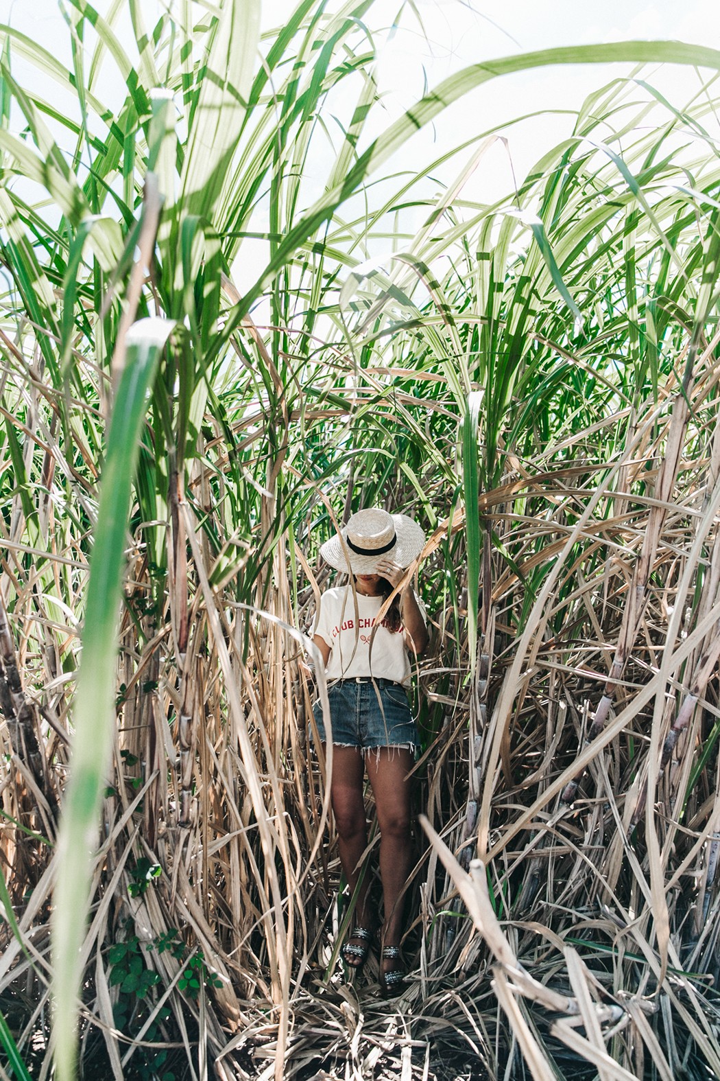 Jamica-Sugar_Cane_Field-Levis-Straw_Hat-Reebok_Tee-Outfit-Summer-Collage_on_The_Road-Bamboo_Walls-20